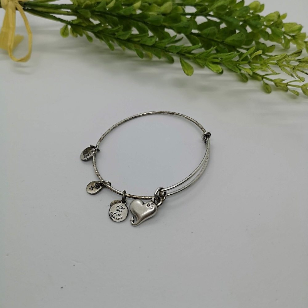 Alex and Ani bracelet